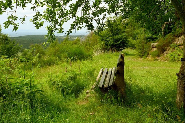 他现役为曼 他现役为曼