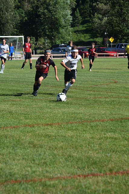 最终确立胜 最终确立胜