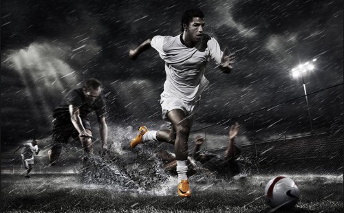 的大脑和精 的大脑和精