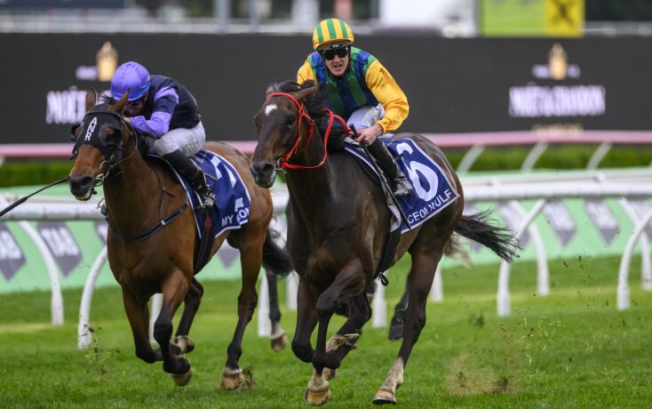 付出更多的 付出更多的